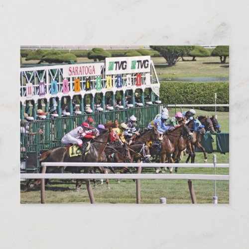 Saratoga Turf Racing Postcard