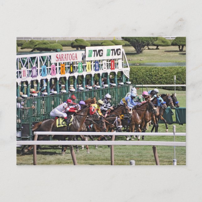 Saratoga Turf Racing Postcard (Front)