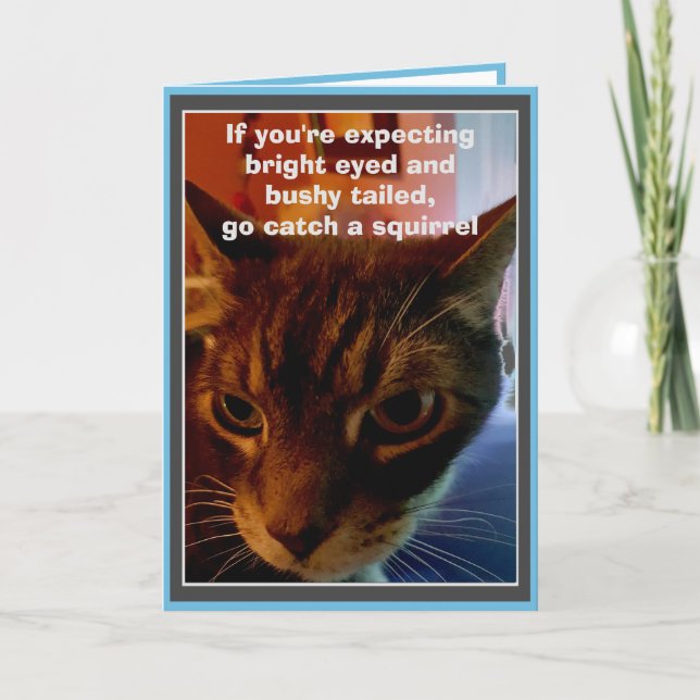 Sarcastic Cat Funny Birthday Card (Front)