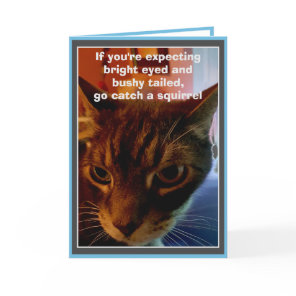 Sarcastic Cat Funny Birthday Card