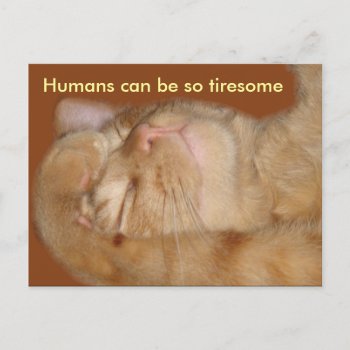 Sarcastic Cat - Humans Can Be So Tiresome Postcard by time2see at Zazzle