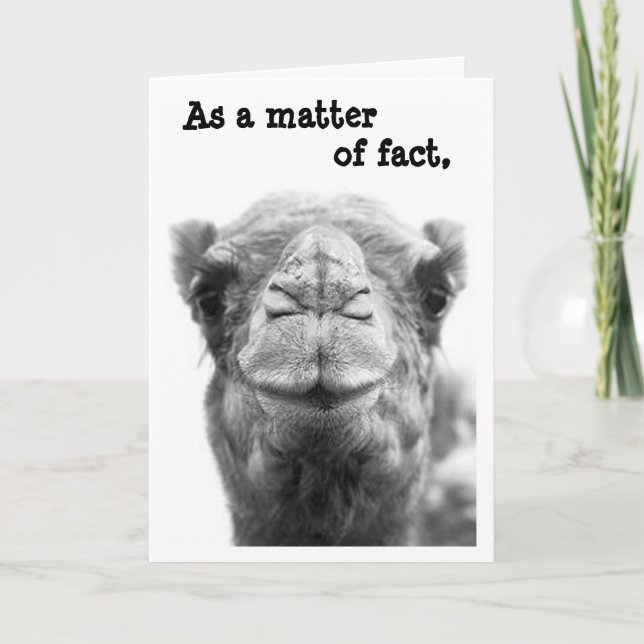 Sarcastic & Funny Camel Photo Graduation Card (Front)