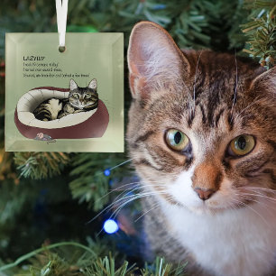 Sarcastic Lazy Tabby Cat Humor Sage Green Glass Ornament