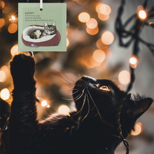 Sarcastic Lazy Tabby Cat Humor Sage Green Glass Ornament
