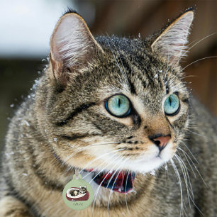 Sarcastic Lazy Tabby Cat Humor Sage Green Pet ID Tag