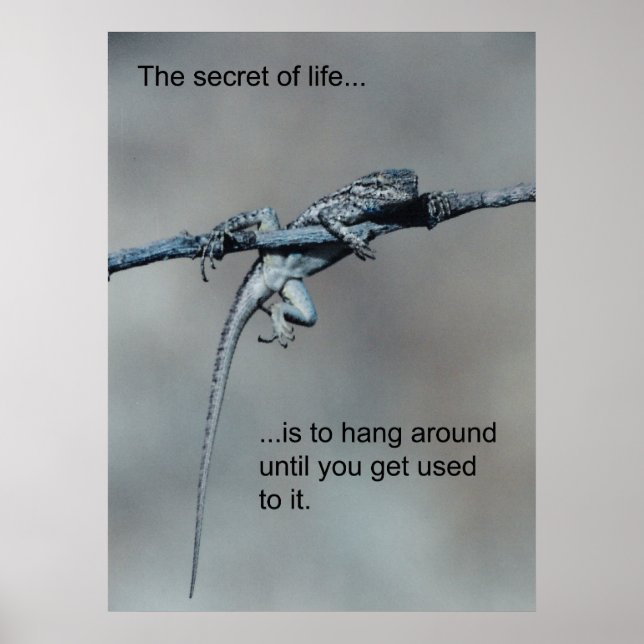 Sarcastic Lizard Secret of Life Poster (Front)