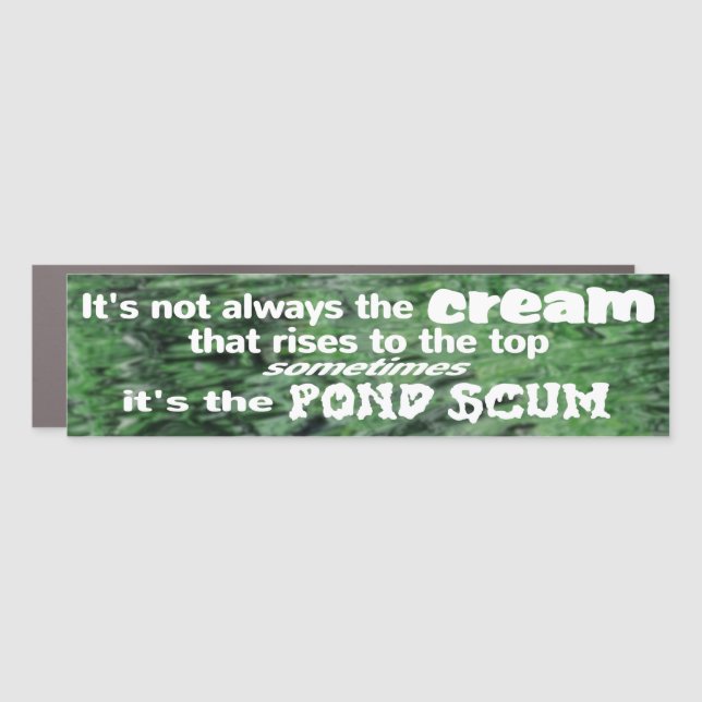 Sarcastic one liner Magnetic Decal about life (Front)