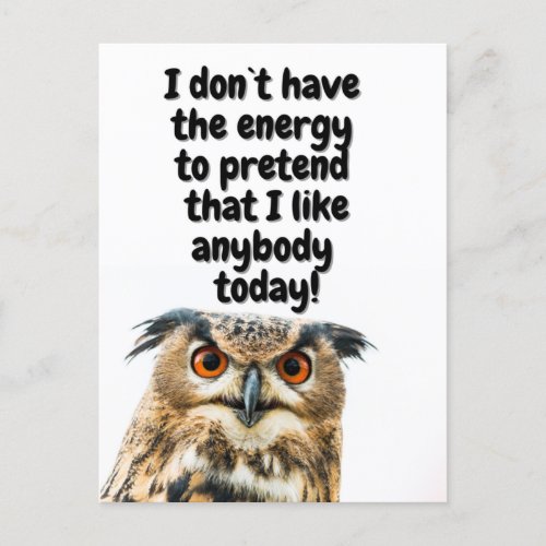Sarcastic Owl funny quote Postcard