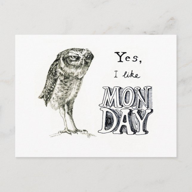 Sarcastic owl postcard (Front)