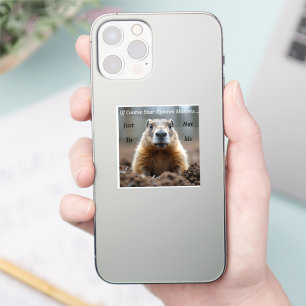 sarcastic Your opinion matters Sticker