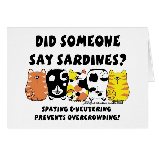 Sardine Cats