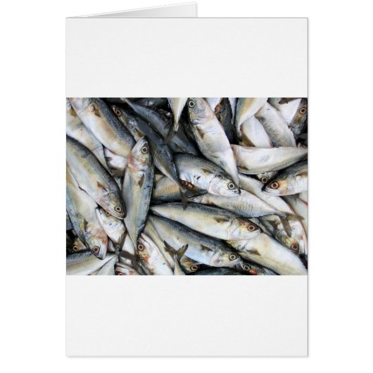Sardines Cards (Front)