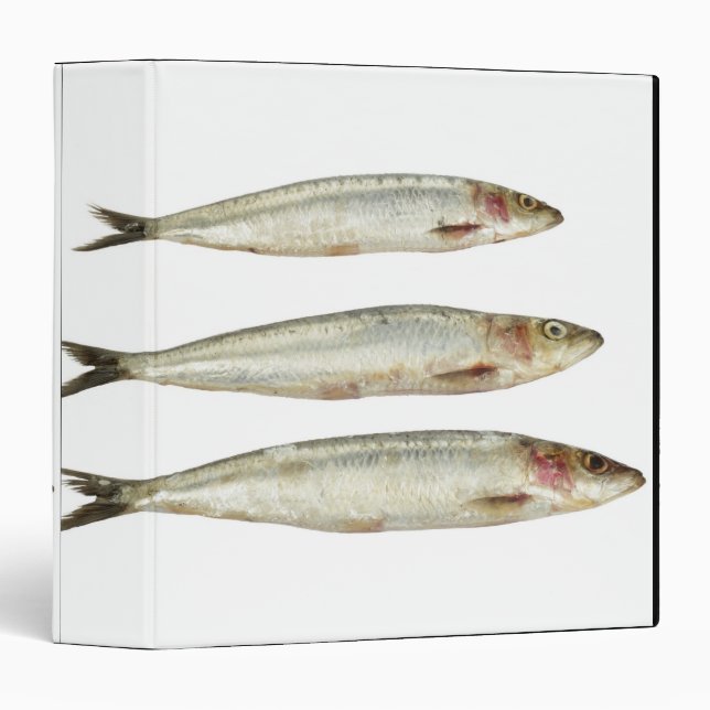 Sardines (Pilchards) 2 Binder (Front/Spine)