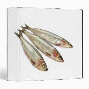 Sardines (Pilchards) 3 Ring Binder