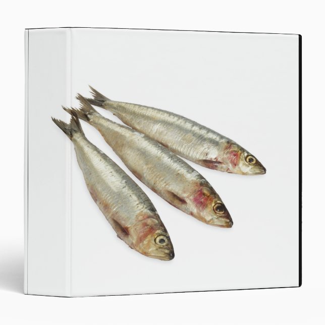 Sardines (Pilchards) 3 Ring Binder (Front/Spine)