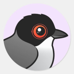 Sardinian Warbler Round Sticker