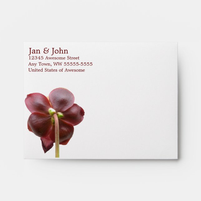 Sarracenia Pitcher Plant Flower Envelope (Front)