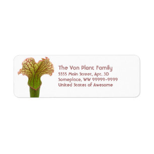 Sarracenia Pitcher Plant Label