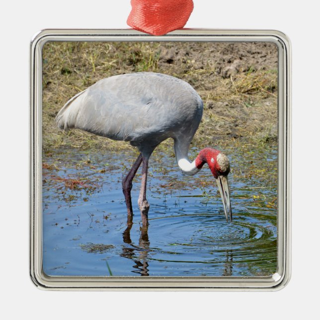 Sarus crane in pond metal ornament (Front)