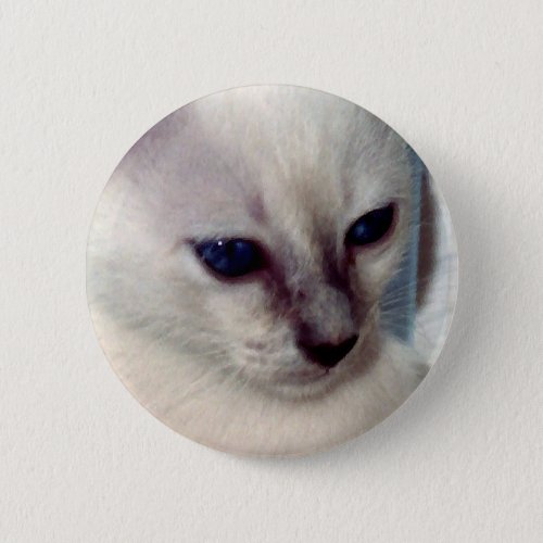 Sasha Kitten Button