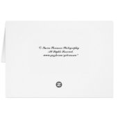 Sasha Kitten Card (Back Horizontal)