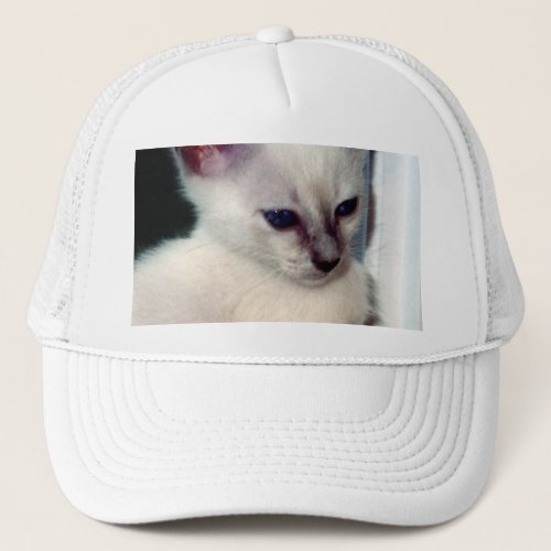 Sasha Kitten Trucker Hat