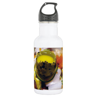 Sashimi Salmon Tuna Fish Seafood Caviar Japanese Water Bottle