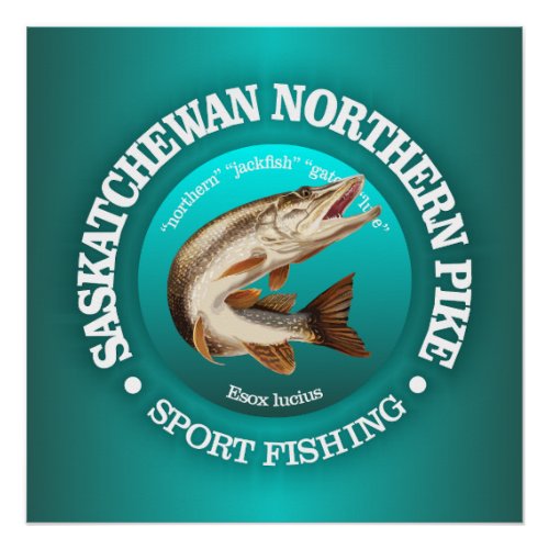 Saskatchewan Pike Fishing Poster