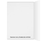 Saskatoon Cards (Inside (Left))