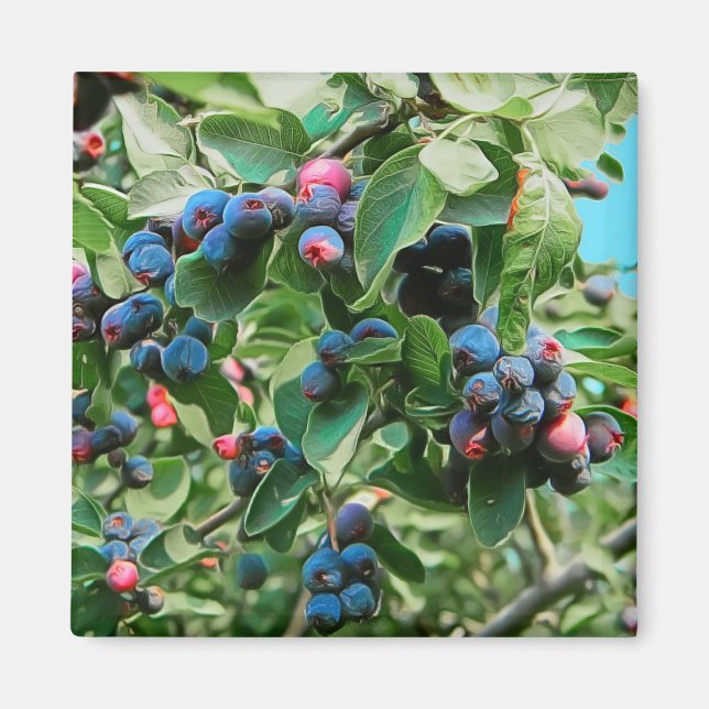 Saskatoon Magnet (Front)