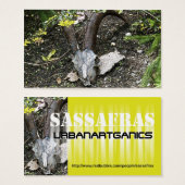 sassafras (Front & Back)