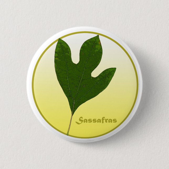 Sassafras Tree Pinback Button (Front)