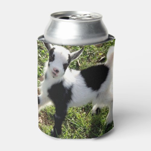 Sassy Black and White Nigerian Dwarf Goat Kid Can Cooler