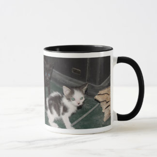 Sassy Cats Mug
