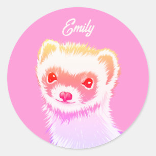 Sassy Ferret In Rainbow Colors Classic Round Sticker