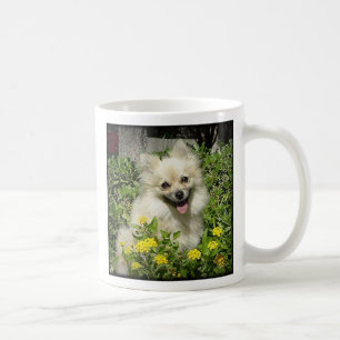 Sassy - Happiness is the love of an adopted Pomera Coffee Mug