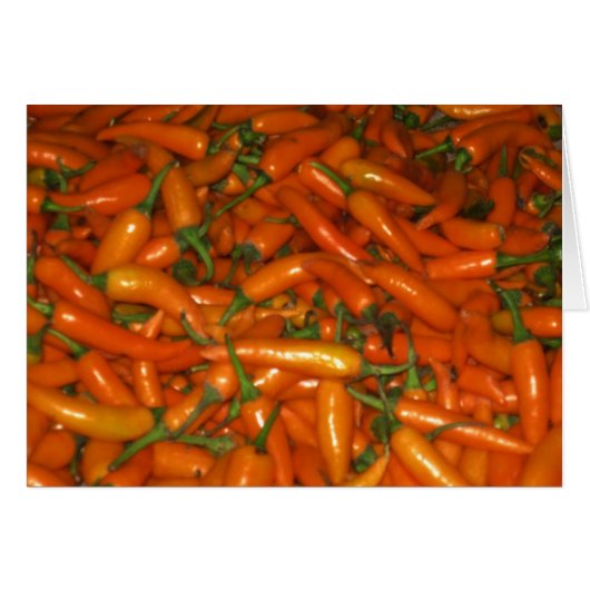 Sassy Hot Orange Chili Peppers Cards (Front Horizontal)