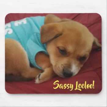 Sassy Leeloo  Sleepy Puppy Mousepad by dbrown0310 at Zazzle