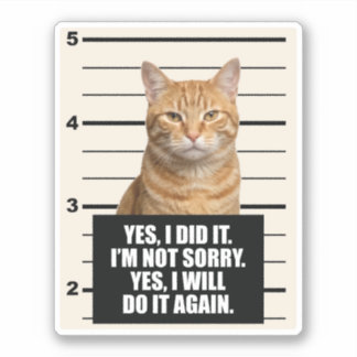 Sassy Orange Cat Mugshot Sticker