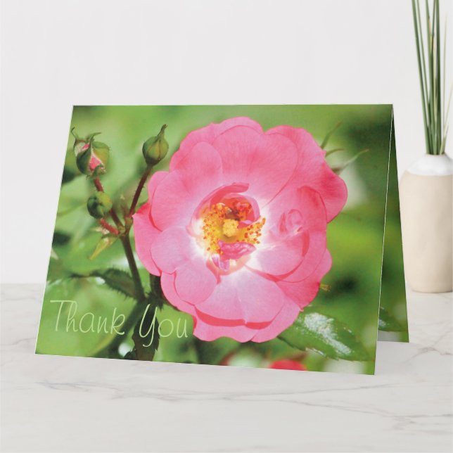 Sassy Pink Rose Thank You Card (Front)