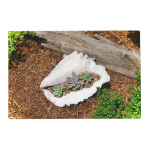 Sassy Succulent Vinyl Placemat