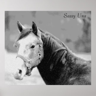 Sassy Una Print