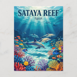 Sataya Reef Egypt Postcard