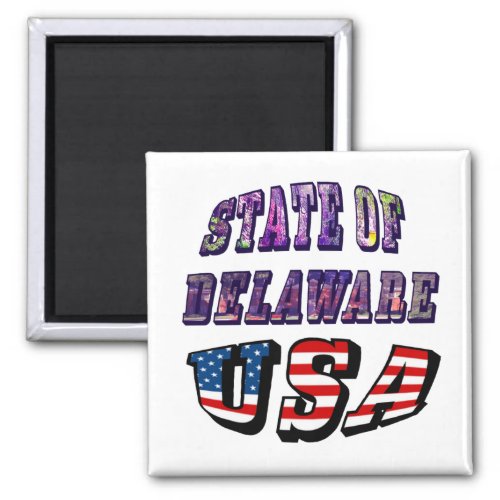 Sate of Delaware Picture and USA Flag Text Magnet
