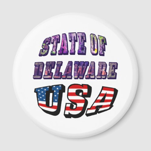 Sate of Delaware Picture and USA Flag Text Magnet