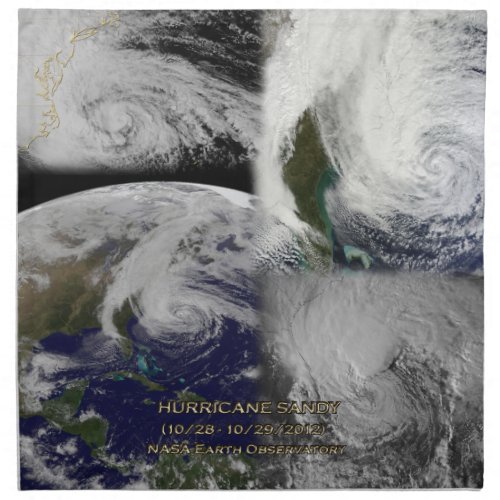 Satellite Collage View of Hurricane Sandy Cloth Napkin