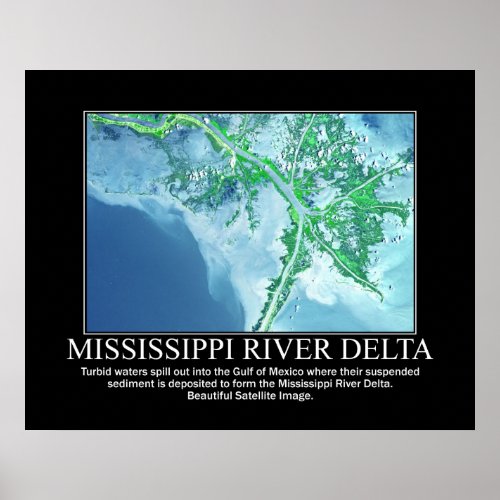 Satellite Image of the Mississippi River Delta Poster