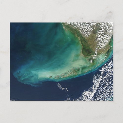 Satellite Photo of the Florida Keys Postcard