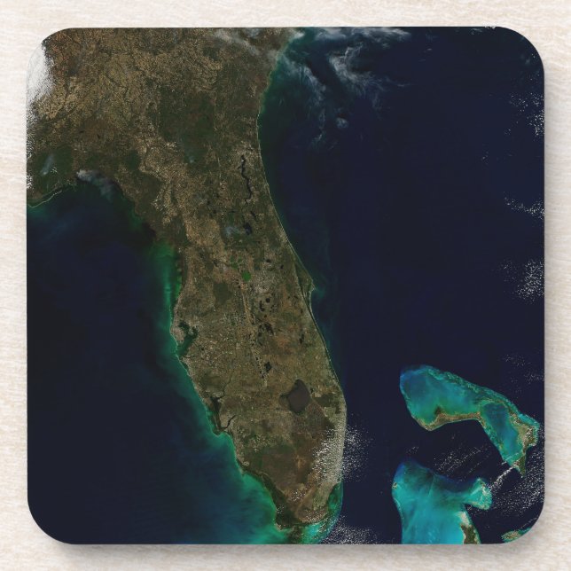 Satellite View Of Florida. Beverage Coaster (Front)