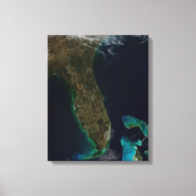 Satellite View Of Florida. Canvas Print (Front)